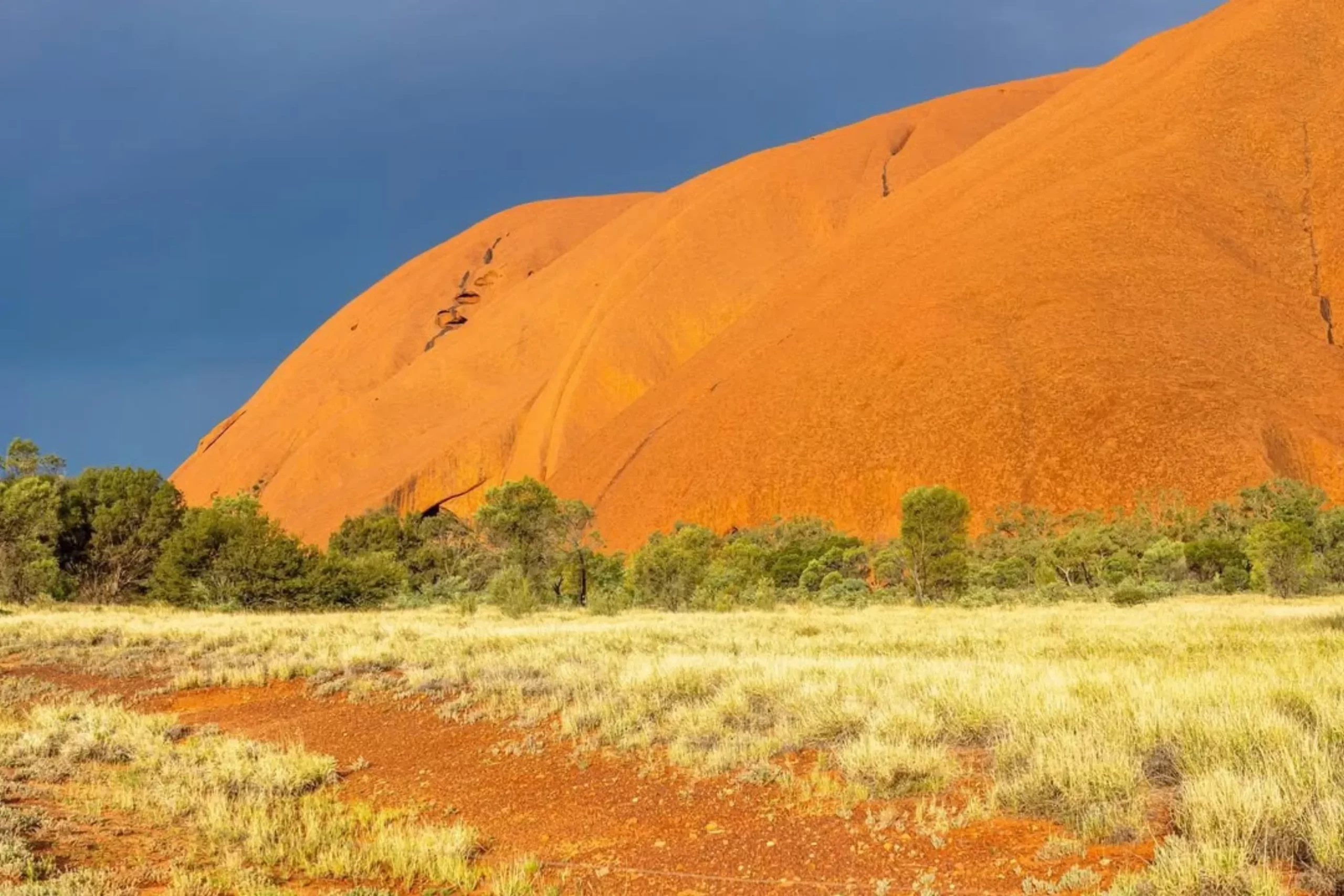 ecological importance, Uluru